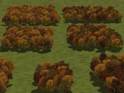 Herbstb�ume als Gruppen und Waldmod im EEP-Shop kaufen Bild 6
