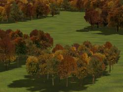 Herbstb�ume als Gruppen und Waldmod im EEP-Shop kaufen Bild 6