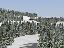  Winterliche Nadelb�ume im EEP-Shop kaufen