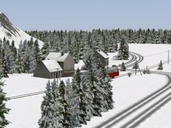  Winterliche Nadelb�ume im EEP-Shop kaufen