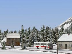  Winterliche Nadelb�ume im EEP-Shop kaufen