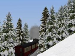 Winterliche Nadelb�ume im EEP-Shop kaufen Bild 6