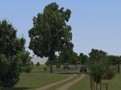  Birnb�ume, Weiden, Linden und B�sch im EEP-Shop kaufen