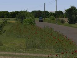Gr�ser mit Mohn und Blumen im EEP-Shop kaufen Bild 6