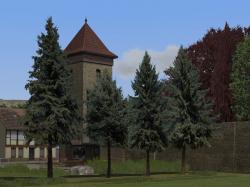  Laubb�ume, Blutbuchen, Blautannen im EEP-Shop kaufen