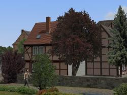 Laubb�ume, Blutbuchen, Blautannen im EEP-Shop kaufen Bild 6