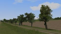  Obstb�ume alt im EEP-Shop kaufen
