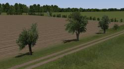 Obstb�ume alt im EEP-Shop kaufen Bild 6
