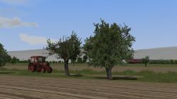 Obstb�ume alt im EEP-Shop kaufen Bild 6