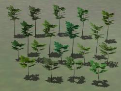  Kleine Laubb�ume (3D) im EEP-Shop kaufen