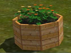  Blumen, K�bel, Beete und Hecken im EEP-Shop kaufen