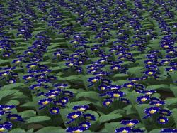  Blumen, K�bel, Beete und Hecken im EEP-Shop kaufen