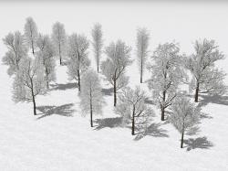Winterliche Laubb�ume und B�sche im EEP-Shop kaufen Bild 6