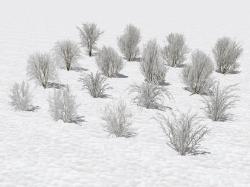 Winterliche Laubb�ume und B�sche im EEP-Shop kaufen Bild 6