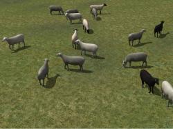  Kinematisch animierte Schafe ab EEP im EEP-Shop kaufen