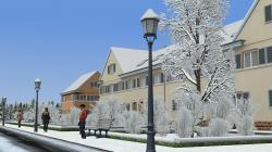 Stra�enlaterne in Winterausf�hrung im EEP-Shop kaufen