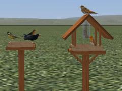 Futterhaus mit Vogel im EEP-Shop kaufen