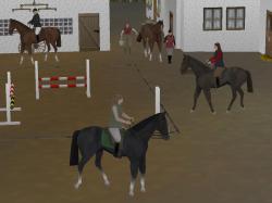 Reitsport Set 2 im EEP-Shop kaufen