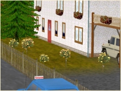 Stammgew�chse im EEP-Shop kaufen