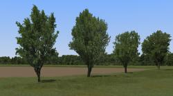 Sommerb�ume und Baumkulissen im EEP-Shop kaufen