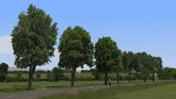 Laubb�ume und Reihen f�r Landstra�e im EEP-Shop kaufen