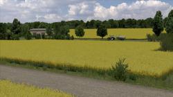 Bl�hende Rapsfelder im EEP-Shop kaufen