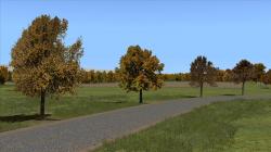Herbstliche Linden, Kirschb�ume und im EEP-Shop kaufen