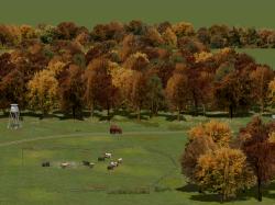 Herbstb�ume als Gruppen und Waldmod im EEP-Shop kaufen