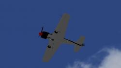 Yakowlew Yak52-PTE im EEP-Shop kaufen