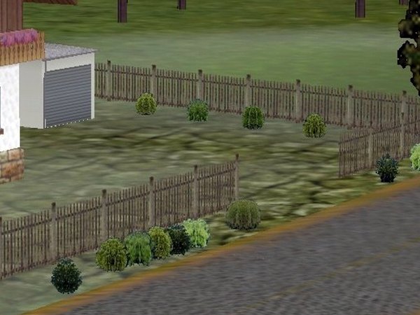 PS1_Buschset1 (PS1405 )