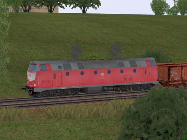 Diesellokomotiven BR 219 der DBAG (RS2403 )