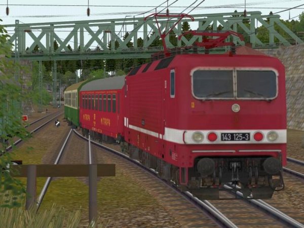 Elektrische Universallokomotive BR 143 der DR Epoche IVb (SK2745 )