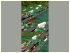 Sparset Containerkr�ne II im EEP-Shop kaufen