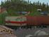 20ft & 40ft Boxliner mit passenden  im EEP-Shop kaufen