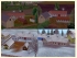 Bauernhaus aus Ost�sterreich Set 1  im EEP-Shop kaufen