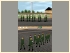 Soldaten Set 1 im EEP-Shop kaufen