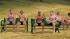 Badeg�ste sitzend Set 1 im EEP-Shop kaufen