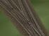 Weichensystem Betongleis Set 3  (Dr im EEP-Shop kaufen