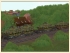 Marder 1A3 Transportset im EEP-Shop kaufen