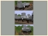 Kesselwagen f�r Wasserglas der SBB im EEP-Shop kaufen