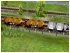 Weinfasswagen Set2 im EEP-Shop kaufen