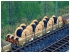 Flachwagen-Set Remms665 der DB und  im EEP-Shop kaufen