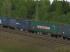 zweiteiliger Containertragwagen Typ im EEP-Shop kaufen