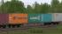 Vierachsiger Containertragwagen Sgn im EEP-Shop kaufen