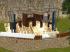 Amphitheater Miwula im EEP-Shop kaufen