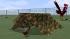 Zubeh�r f�r H�hnerfarm im EEP-Shop kaufen