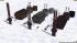 Module f�r die Schwerindustrie | Sp im EEP-Shop kaufen