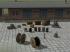 Lagerg�ter Set 1 im EEP-Shop kaufen