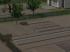 Gartenbeete, -wege und -z�une im EEP-Shop kaufen