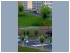 Junge Stadtb�ume im EEP-Shop kaufen